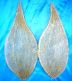 Click để xem hình lớn